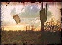   (Arizona Dream) -  2